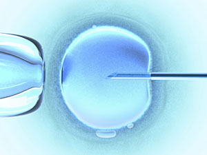 American College of Assisted Reproduction & Adoption Lawyers - ACARAL
